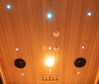 Sauna High Temperature Speaker | 20W Heat Resistant 4Ω Premium Sauna Audio-2PCS